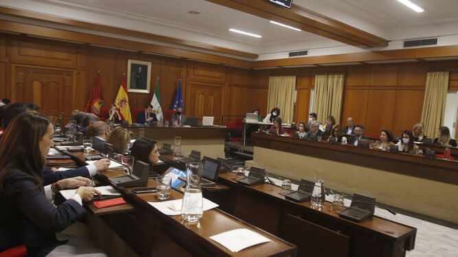 Pleno ordinario en el Ayuntamiento de Córdoba.