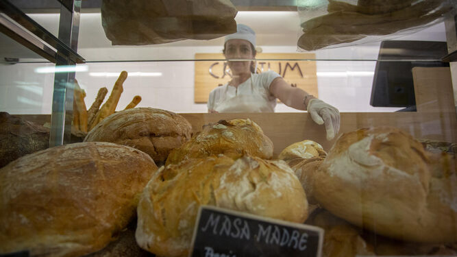Pan de masa madre en una panadería.