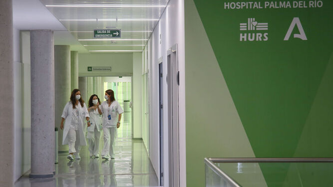 El Hospital de Palma del Río , el día de su apertura.