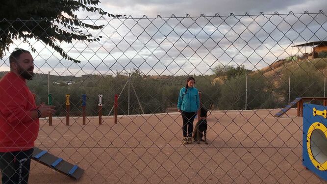 Taller de obediencia canina en Palenciana.