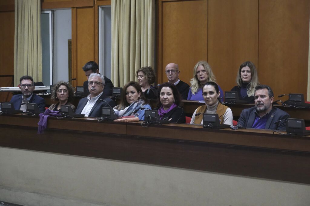 El Pleno del Ayuntamiento de C&oacute;rdoba contra la violencia a las mujeres, en im&aacute;genes