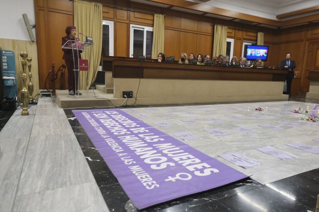 El Pleno del Ayuntamiento de C&oacute;rdoba contra la violencia a las mujeres, en im&aacute;genes
