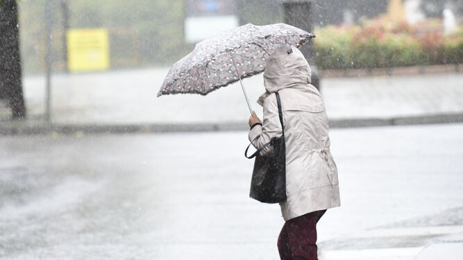 Una persona se protege de la lluvia bajo un paraguas en Córdoba.