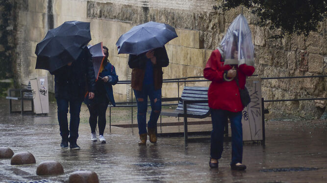Varias personas se protegen de la lluvia y el viento.