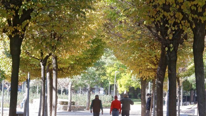 Varias personas pasean por un parque de Córdoba.