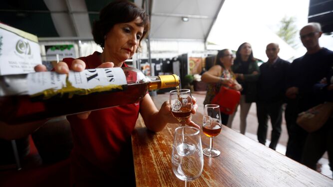 Montilla despedirá el año brindando con 2.000 chupitos de vino Pedro Ximénez