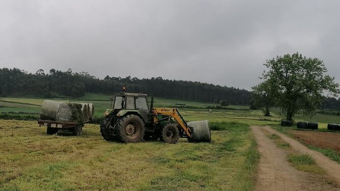 Un tractor realiza trabajos agrícolas en una explotación.
