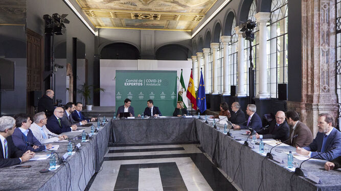 Reunión del Comité de expertos en Covid en Andalucía que tuvo lugar ayer en el Palacio de San telmo.
