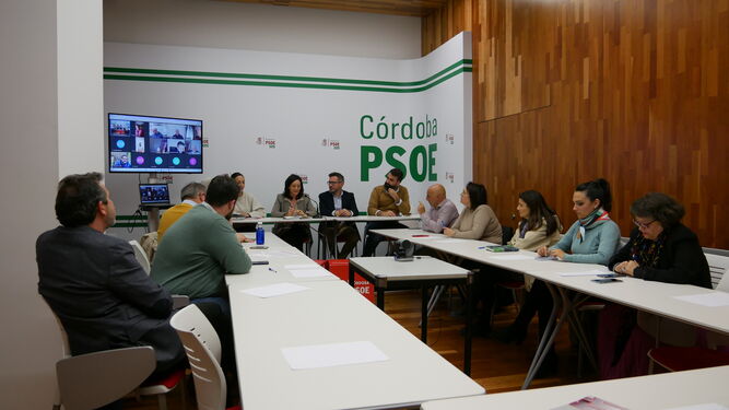 Comisión Ejecutiva del Provincial del PSOE que ha aprobado la candidatura a la Alcaldía de la capital.