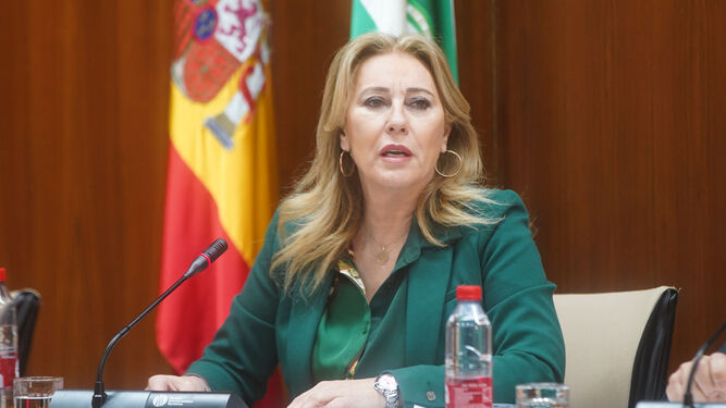 Carolina España, durante una comparecencia en el Parlamento