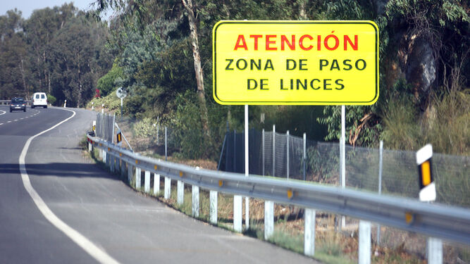 Señal de aviso de la presencia de linces en una carretera de Huelva.