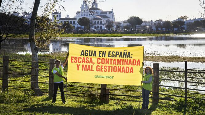 Activistas de Greenpeace despliegan una pancarta en las marismas de Doñana, frente al Rocío.