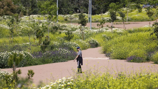 Un hombre camina por el Parque de Levante.