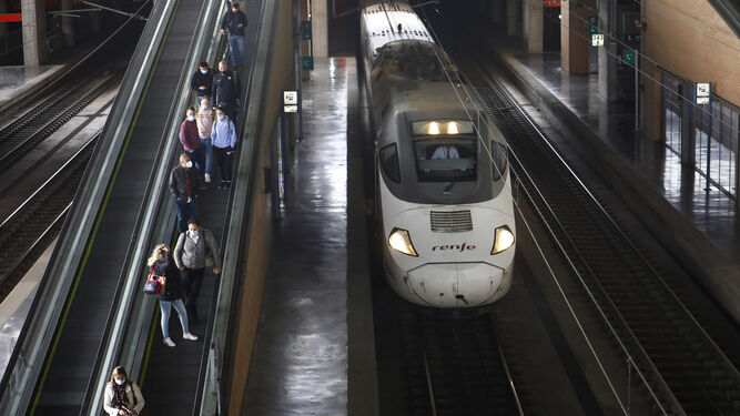 Un tren hace su entrada en la estación de Córdoba.