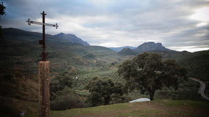 Paisaje de olivar en Carcabuey desde la ermita del Calvario.