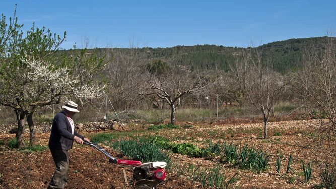 Un agricultor se dispone a realizar tareas de labranza en el campo.
