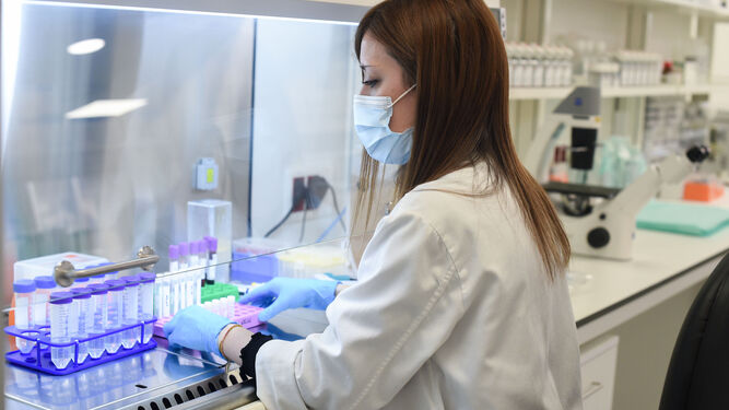Una investigadora trabaja en el Centro de Oncología Experimental del Instituto de Investigación del Hospital Universitario 12 de Octubre.