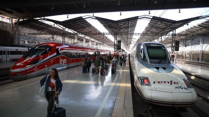 Trenes en la estación de Málaga-María Zambrano