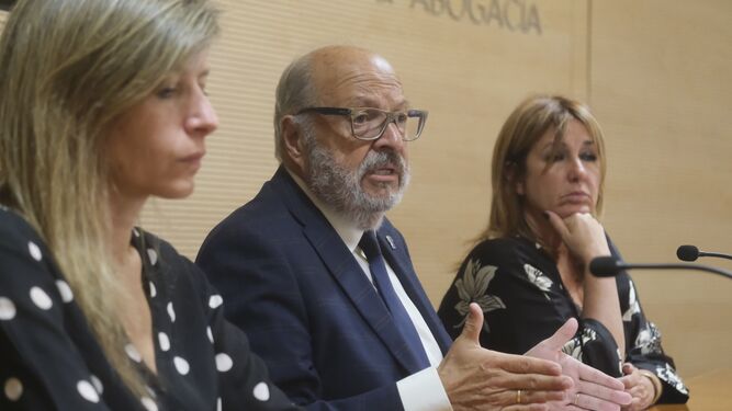 El decano del Colegio de Abogados de Córdoba, Carlos Arias, explica la situación de la abogacía en Córdoba ante la huelga de Justicia.