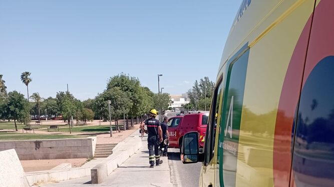 Los Bomberos de Córdoba y la ambulancia del 061 desplazados al lugar.