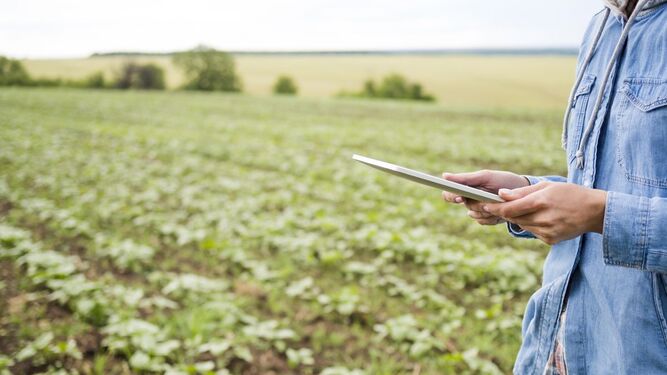 Agricultor con una tablet comprobando el estado de los cultivos.