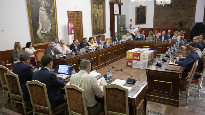 El Pleno de la Diputación de Córdoba.
