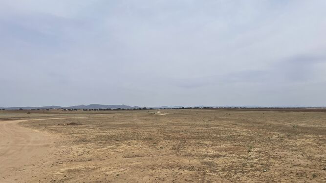 Terrenos del aeródromo de Hinojosa del Duque.