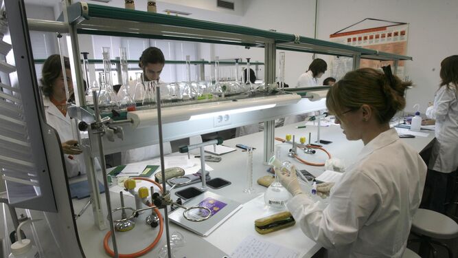 Trabajadores en un laboratorio de biotecnología.