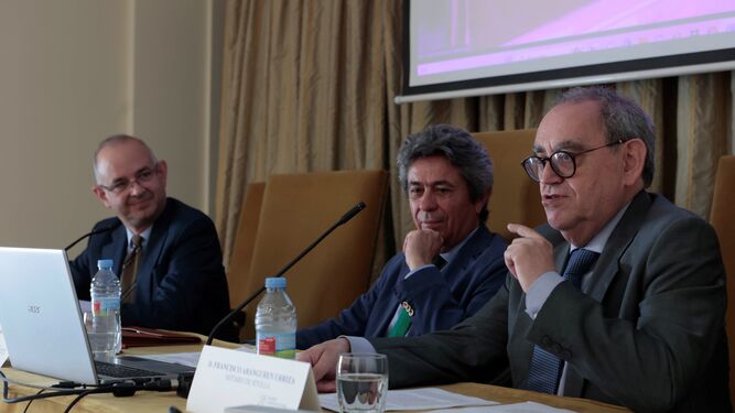 Manuel Espejo (Universidad de Sevilla), Pedro Garrido y Francisco Aranguren, este viernes durante la última jornada del congreso, que se ha celebrado en Sevilla.
