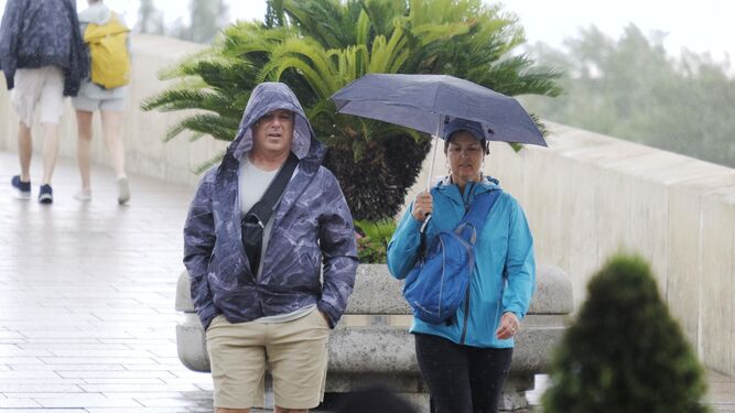 Varias personas se protegen de la lluvia a su paso por el Puente Romano de Córdoba.