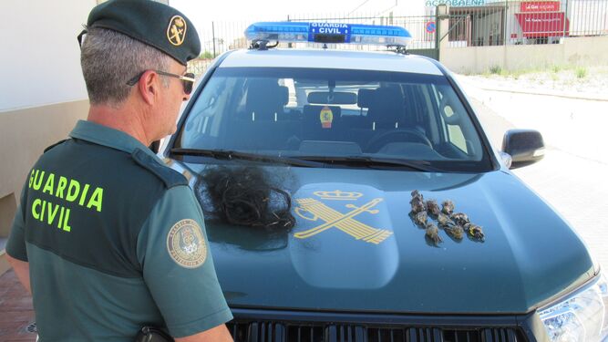 Costillas y aves muertas recuperadas por la Guardia Civil.