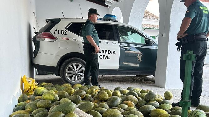 Melones y sandías recuperados por la Guardia Civil.