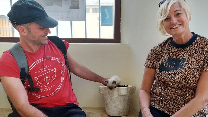 Una pareja de turistas en Doña Mencía, con un cachorro de gato.