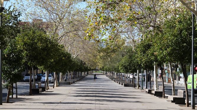 La avenida Gran Vía Parque de Ciudad Jardín, vacía por el calor de agosto.