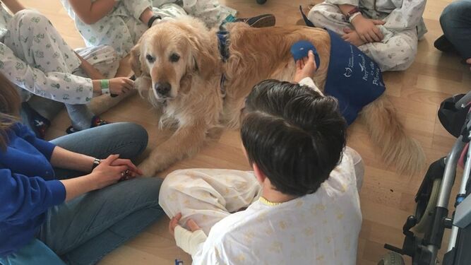 Los niños disfrutan de una sesión de terapia canina.