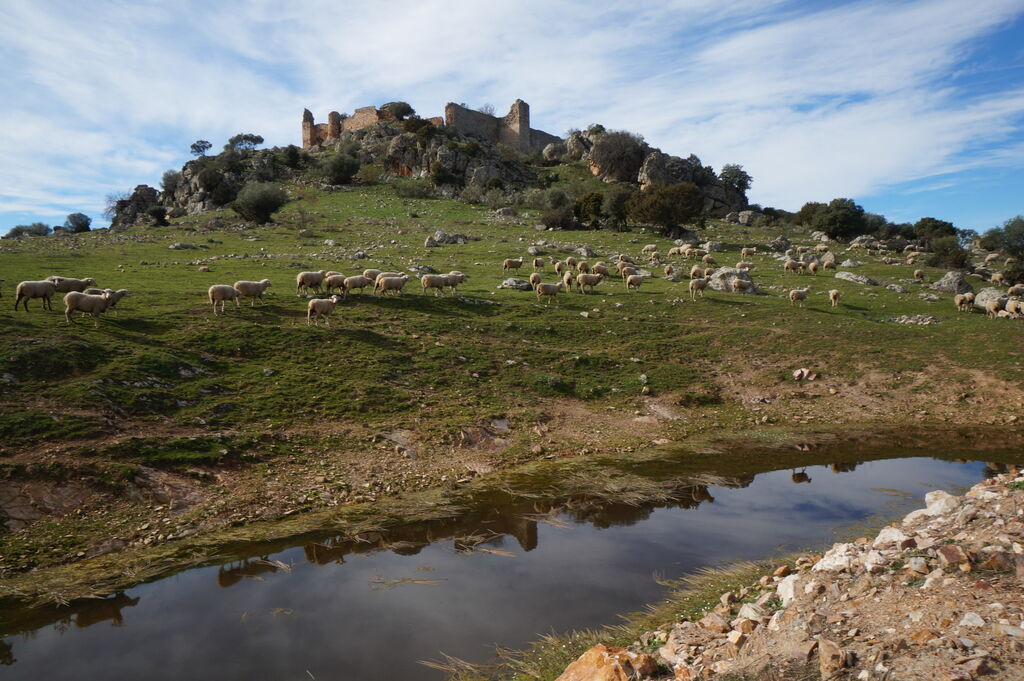 Desde el Castillo de Santa Eufemia, las ruinas con mejores vistas de la provincia de C&oacute;rdoba