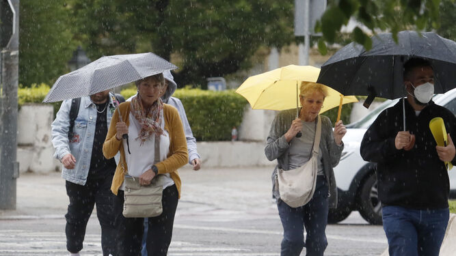 Varias personas se protegen de la lluvia.