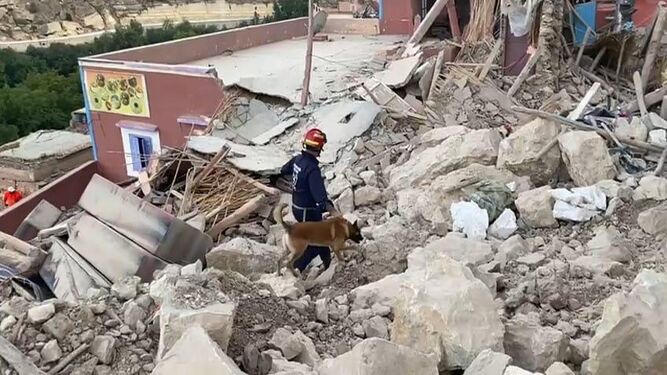 Un bombero busca vida bajo los escombros acompañado por un perro rescatista.