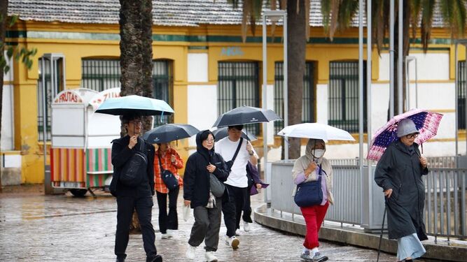 Turistas en la zona de la Calahorra se protegen de la lluvia con paraguas.