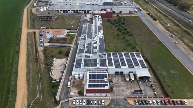 Imagen de la fotovoltaica de autoconsumo realizado en las instalaciones de Inés Rosales.