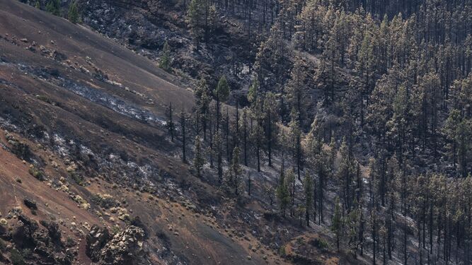 Imagen de archivo del Parque Nacional del Teide de este verano tras el incendio