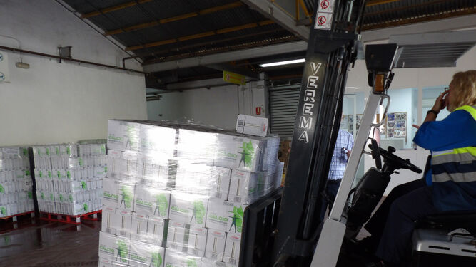 Descarga de los 76.000 litros de leche de Covap en el Banco de Alimentos de Córdoba.