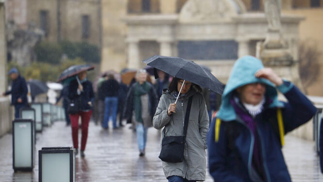 Varias personas pasean bajo la lluvia por el Puente Romano de Córdoba.