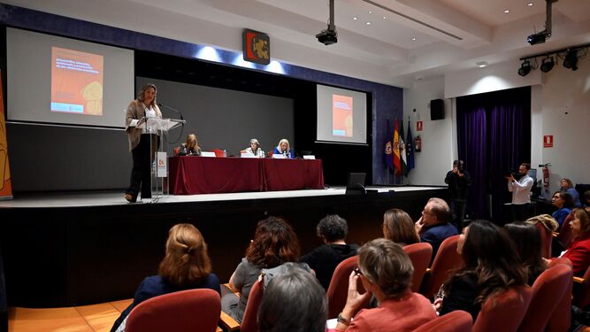 Desarrollo de las jornadas en la sede de la Diputación Provincial.