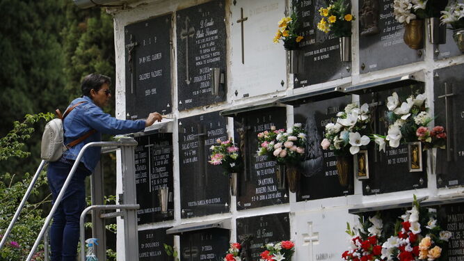Una persona adecenta un nicho en el cementerio de San Rafael.