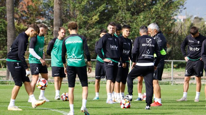 Los jugadores del Córdoba CF se preparan para un entrenamiento en la Ciudad Deportiva.