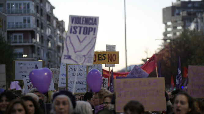 Carteles en una manifestación del 25N.