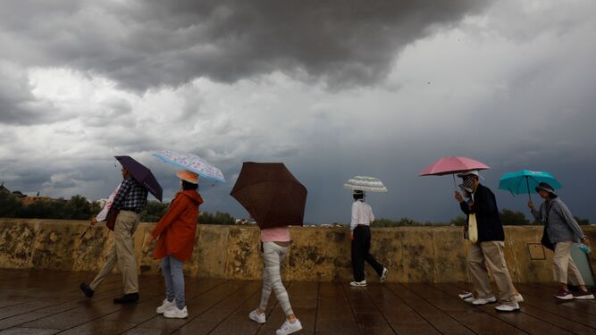 Turistas por el Puente Romano de Córdoba resguardándose de la lluvia con paraguas.