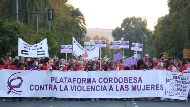 La Plataforma contra la Violencia a las Mujeres en manifestación del 25N en Córdoba.