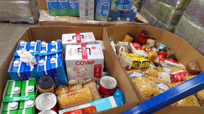 Productos alimenticios recogidos durante la campaña.